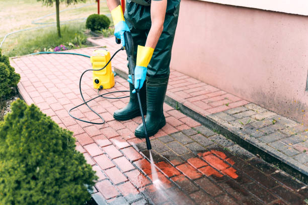 Best Deck Cleaning Services  in Caseyvle, IL